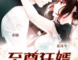 至尊狂婿,逆袭之路，谱写传奇人生