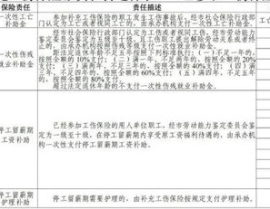 工伤保险缴费标准,“详解2025年最新工伤保险缴费标准及流程”
