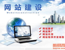 专业网站建设,专业网站建设全攻略