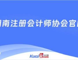 湖南省注册会计师协会,行业自律与服务发展概览